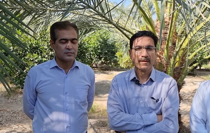 بسیج فناوری علیه قاتل نخلها+فیلم