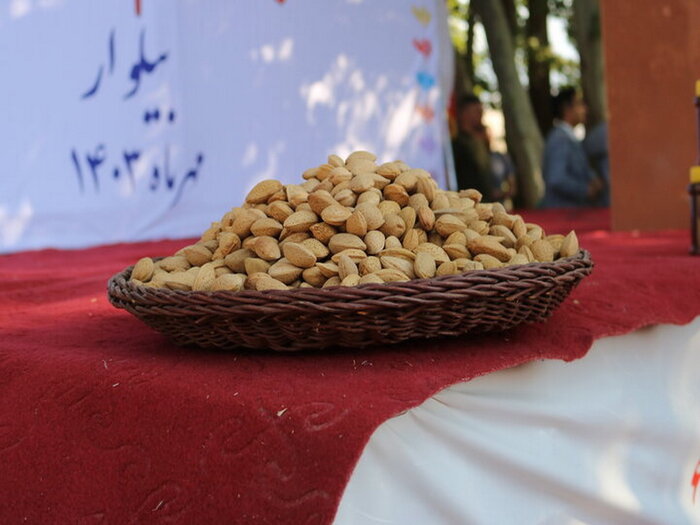 چربیسوزی در خواب: با ۵ خوراکی جادویی!