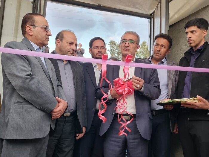 بازگشت به تولید گلخانه گل رز دنا پس از ۶ سال+ فیلم