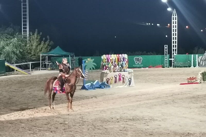 نخستین «هماورد اسب و شاهنامه» در کرمانشاه برگزار شد + فیلم