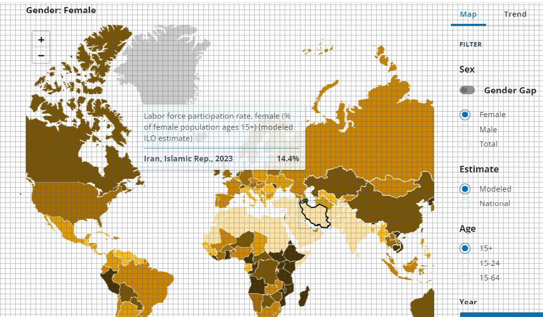 اشتغال ۱۴ درصدی زنان ایرانی؛ از منطقه جاماندیم