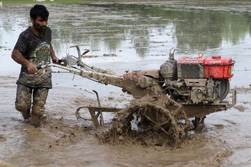 رشد ۴۶ درصدی تامین سوخت بخش کشاورزی در غرب مازندران 