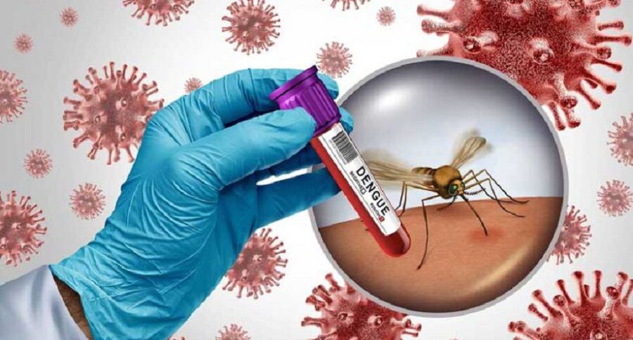 شیوع تب دنگی در فصل سرما محتمل است شیوع تب دنگی در فصل سرما محتمل است