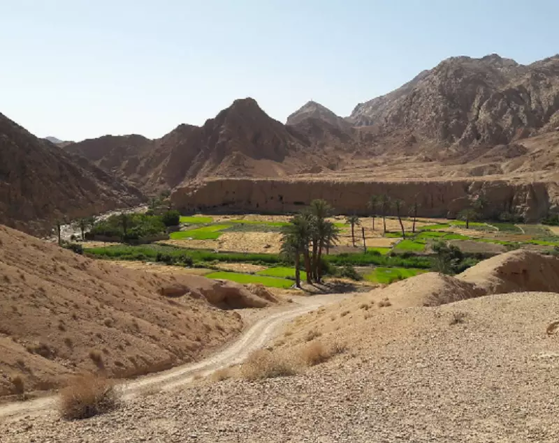 روستای ازمیغان؛ بهشت کویری طبس