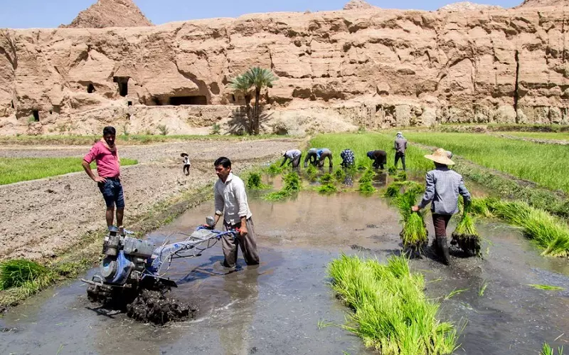 روستای ازمیغان؛ بهشت کویری طبس