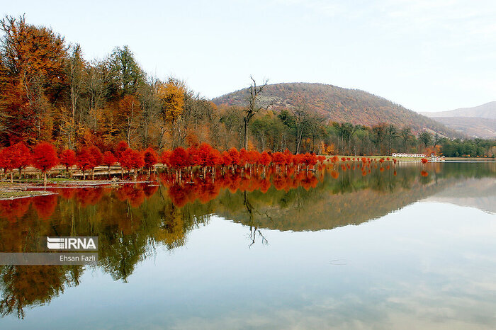 بیشترین میزان بارندگی با ۱۰۴ میلیمتر در تنکابن به ثبت رسید