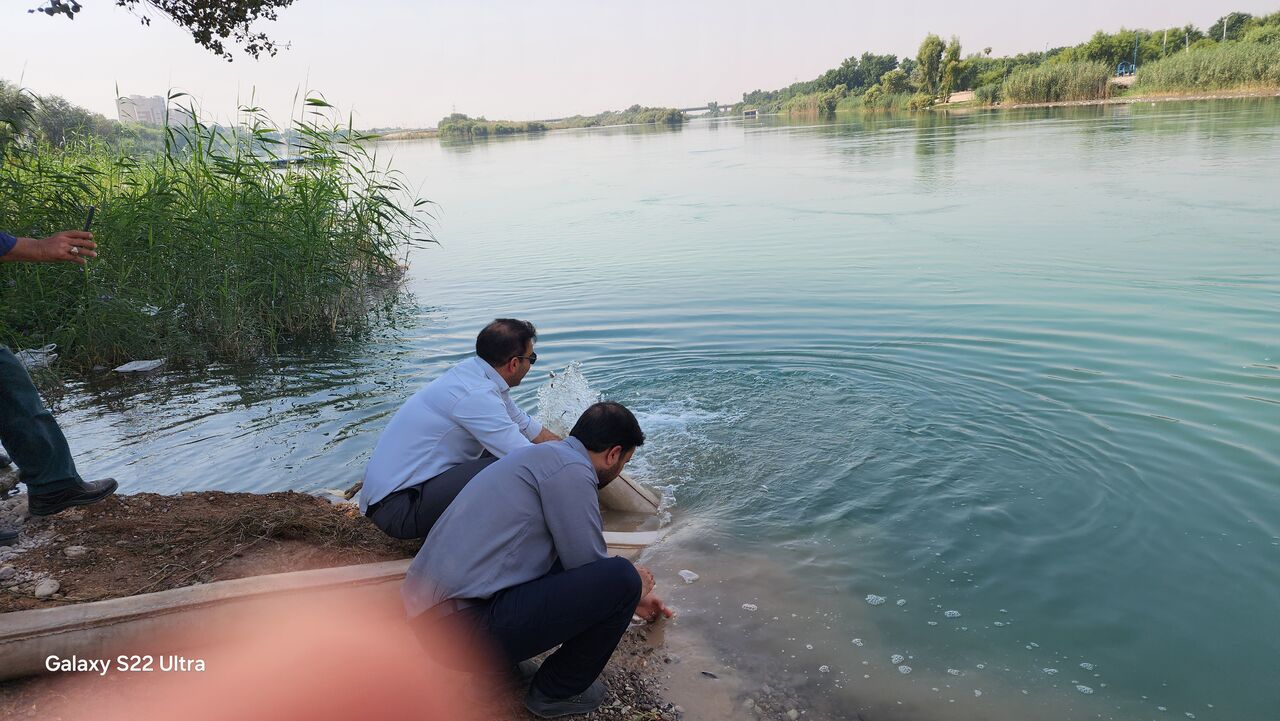 ۱۸۰ هزار قطعه بچه ماهی در رودخانه دز رهاسازی شد