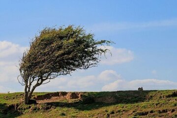 بارش پراکنده و باد شدید پدیده غالب جوی همدان