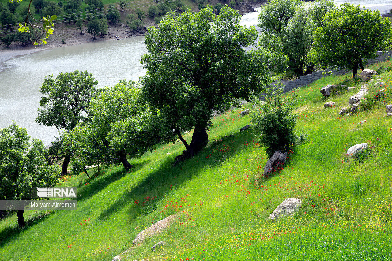 نابودی مراتع، آلودگی های زیست محیطی را به دنبال دارد