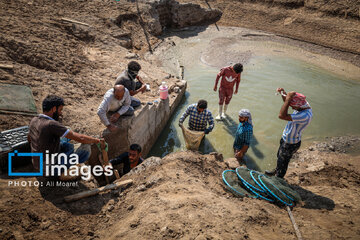 Hunting of shrimps in southwestern Iran