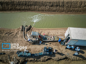 Hunting of shrimps in southwestern Iran