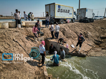 Hunting of shrimps in southwestern Iran