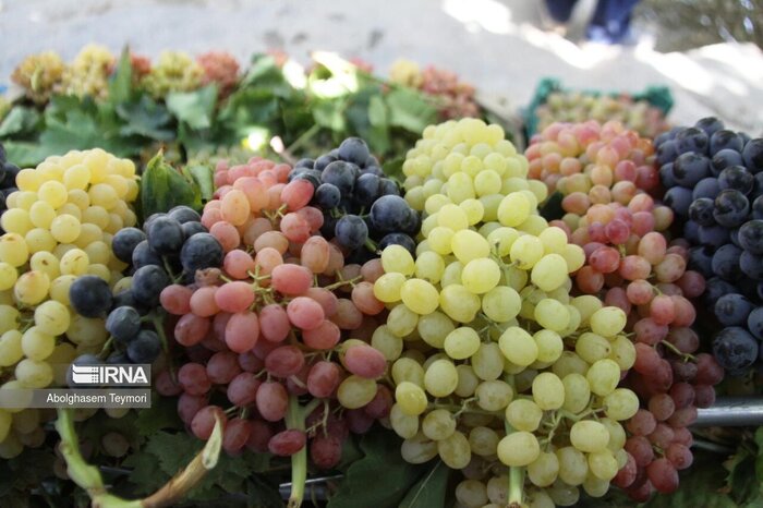 خیز خراسانشمالی برای صادرات یاقوتهای سبز