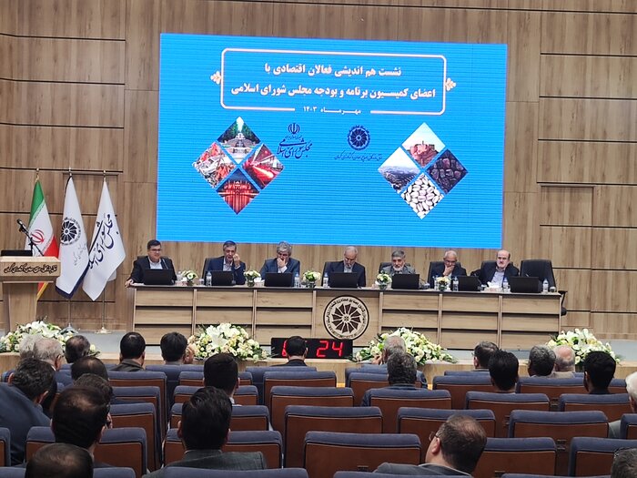 رییس کمیسیون بودجه مجلس: ناترازی اقتصادی با ارز سه نرخی تداوم مییابد