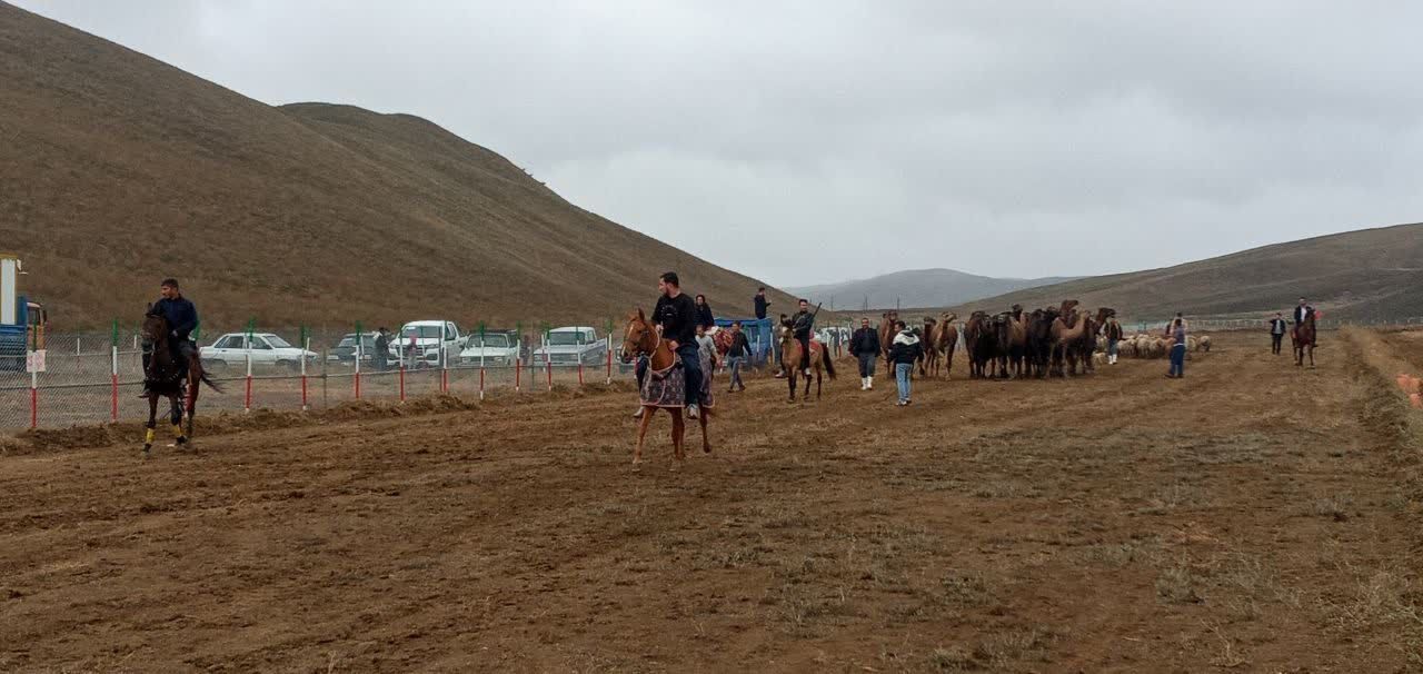 جشنواره فرهنگی و ورزشی عشایر آذربایجان شرقی بدون اسب دوانی برگزار شد جشنواره فرهنگی و ورزشی عشایر آذربایجان شرقی بدون اسب دوانی برگزار شد