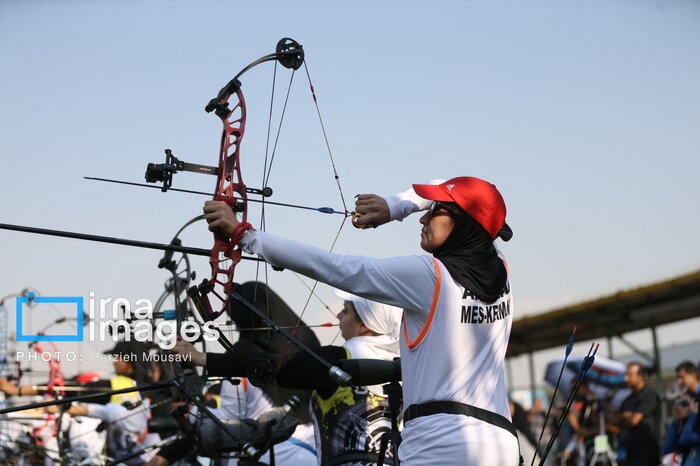 خرید کمان حرفهای بین ۵۰۰میلیون تا یک میلیارد ریال برای ورزشکاران هزینه نیاز دارد