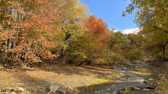 برغان؛ روستایی با چنارهای هزار ساله