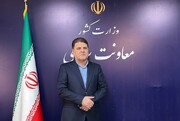 زینی‌وند: مطالبات حامیان در انتخاب استانداران لحاظ شده است