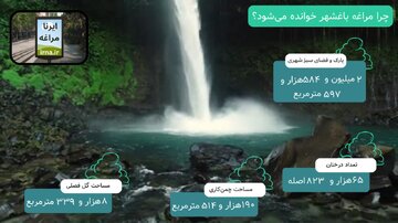 شهردار: مراغه بیش از ۲.۵ میلیون مترمربع فضای سبز شهری و پارک دارد