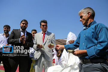 Nomadic wedding of Kermanj nomads in northeast Iran