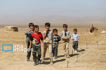 Nomadic wedding of Kermanj nomads in northeast Iran