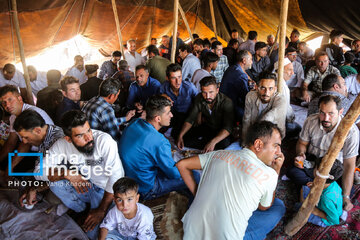 Nomadic wedding of Kermanj nomads in northeast Iran