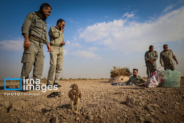 Environmentalists destroy structures built to illegally take birds