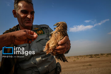 Environmentalists destroy structures built to illegally take birds