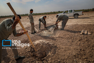 Environmentalists destroy structures built to illegally take birds