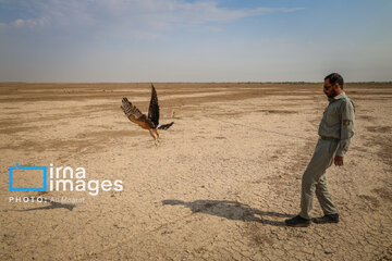 Environmentalists destroy structures built to illegally take birds