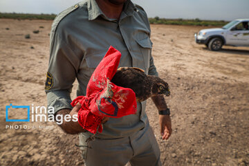 Environmentalists destroy structures built to illegally take birds