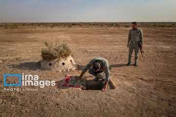 Environmentalists destroy structures built to illegally take birds