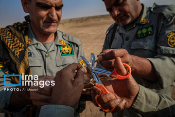 Environmentalists destroy structures built to illegally take birds