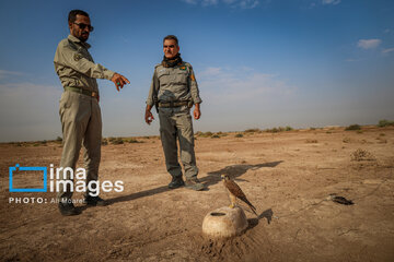 Environmentalists destroy structures built to illegally take birds