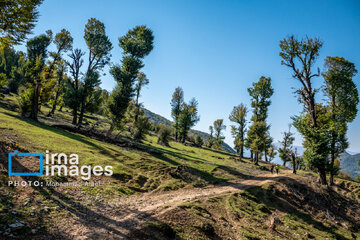 Markooh plain in northern Iran