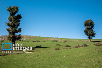 Markooh plain in northern Iran