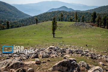 Markooh plain in northern Iran