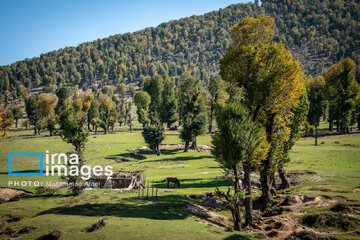 Markooh plain in northern Iran