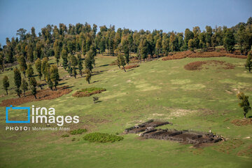 Markooh plain in northern Iran