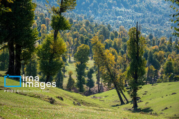 Markooh plain in northern Iran