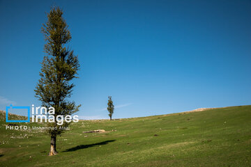 Markooh plain in northern Iran