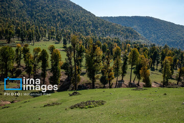 Markooh plain in northern Iran