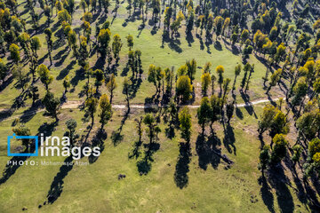 Markooh plain in northern Iran