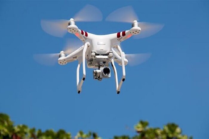 استفاده از هوش مصنوعی برای پایش جنگل های کرمانشاه