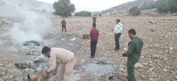 متخلفان قطع درختان جنگلی در باشت دستگیر شدند