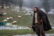 First autumn snow in Talesh, northern Iran