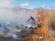 آتش‌سوزی تالاب زاویه سفلی در چالدران مهار شد