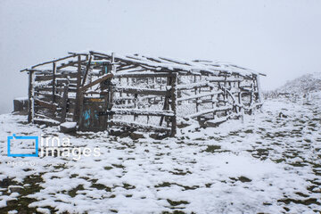 First autumn snow in Talesh, northwestern Iran