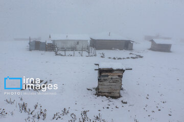 First autumn snow in Talesh, northwestern Iran