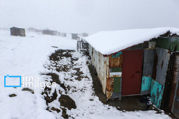 First autumn snow in Talesh, northwestern Iran